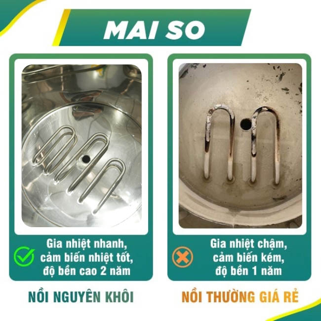 Mayso gia nhiệt 