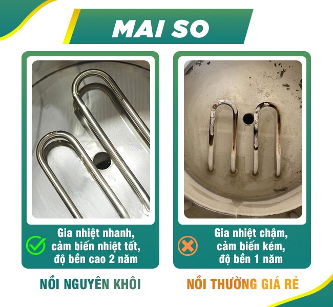 Mayso nhiệt