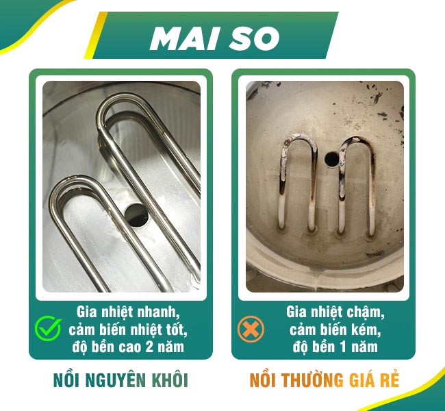 Mayso nhiệt 